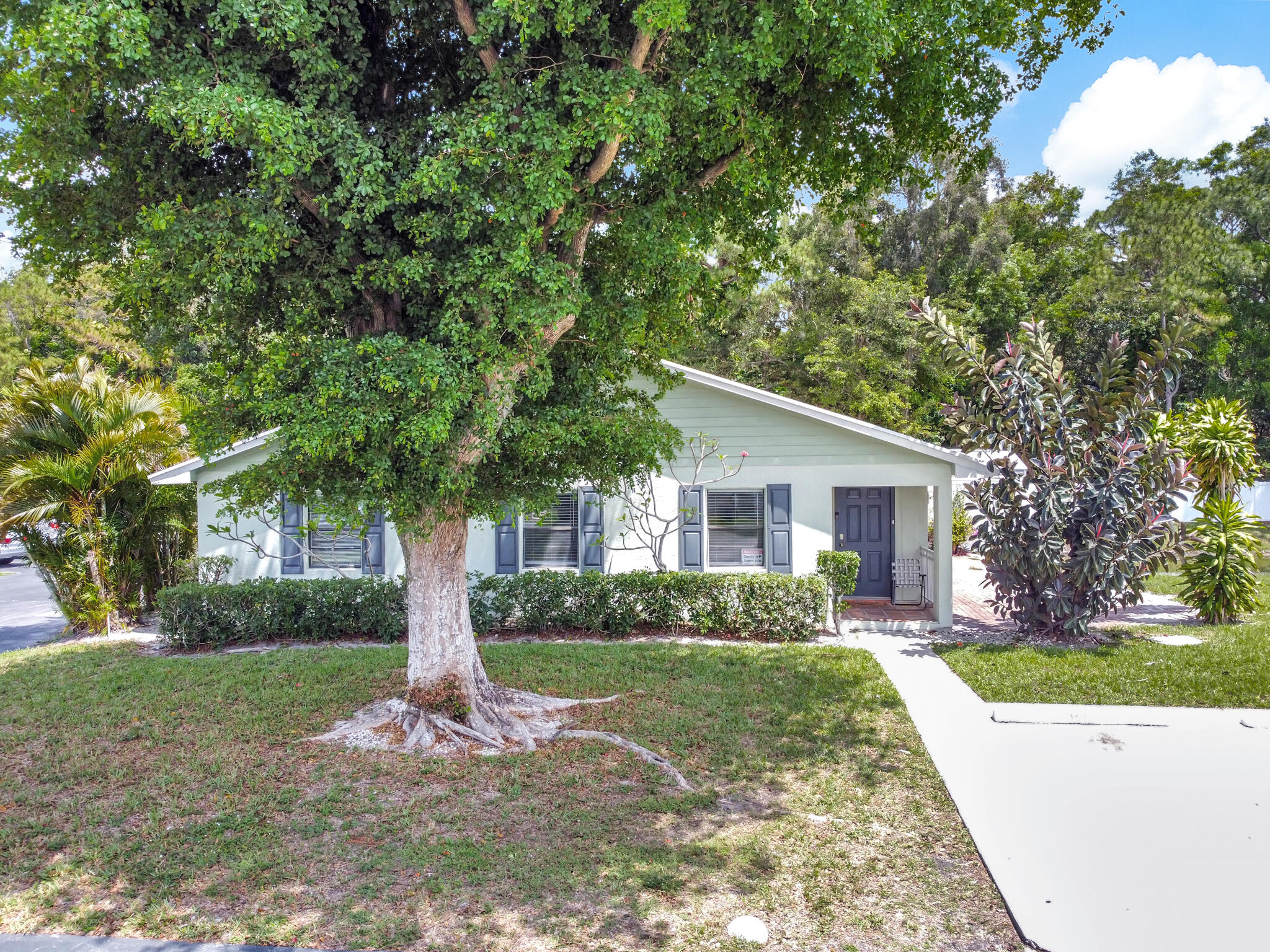 a view of a house with yard and tree s