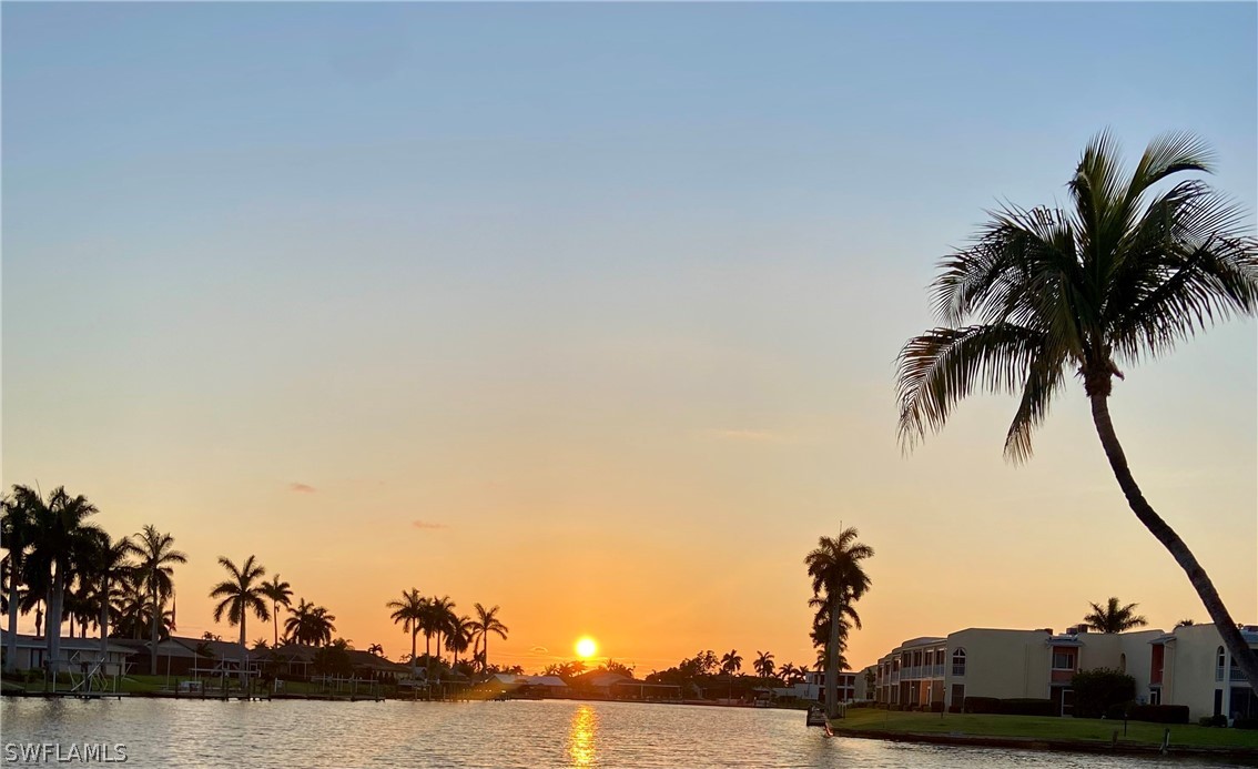 a view of a ocean with palm trees