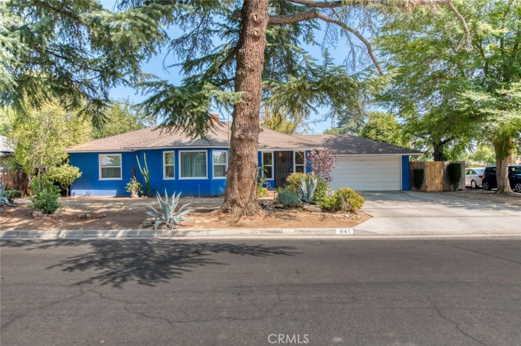 front view of a house with a tree