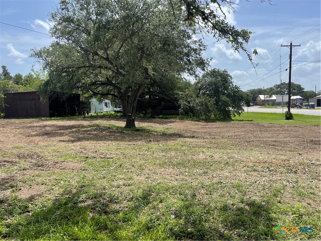 a view of a yard with a tree