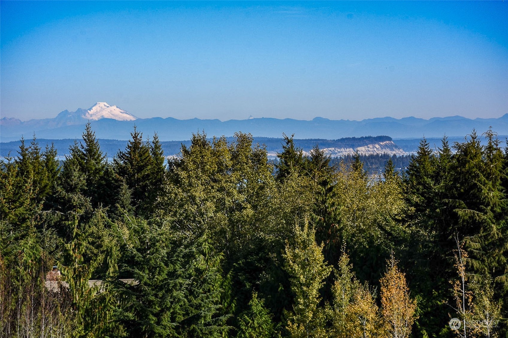 a view of a city with a mountain in the background