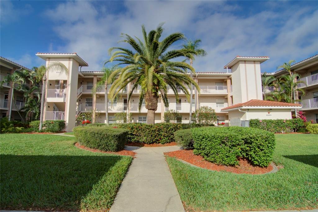 a view of a backyard with plants and palm trees