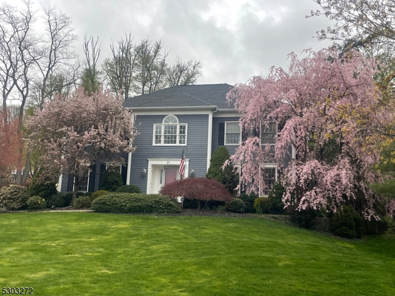 a front view of house with yard and trees