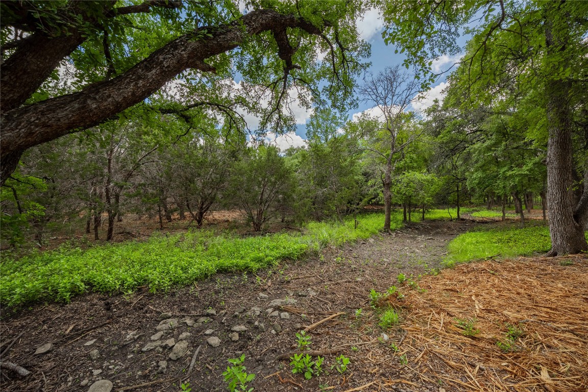 a view of a yard with a tree