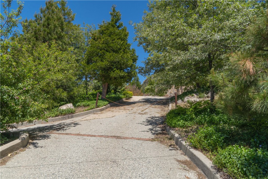 a view of a road with trees in front of it