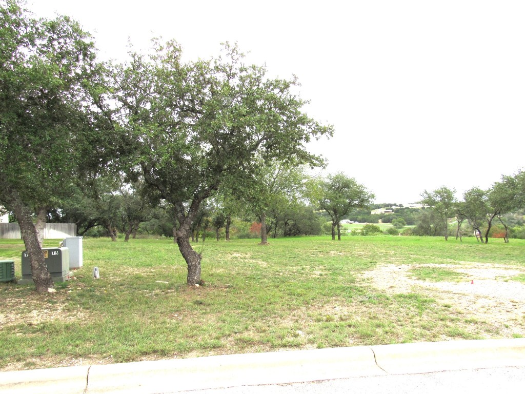 a view of open space with a yard