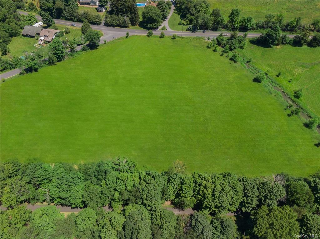 a view of a lush green space