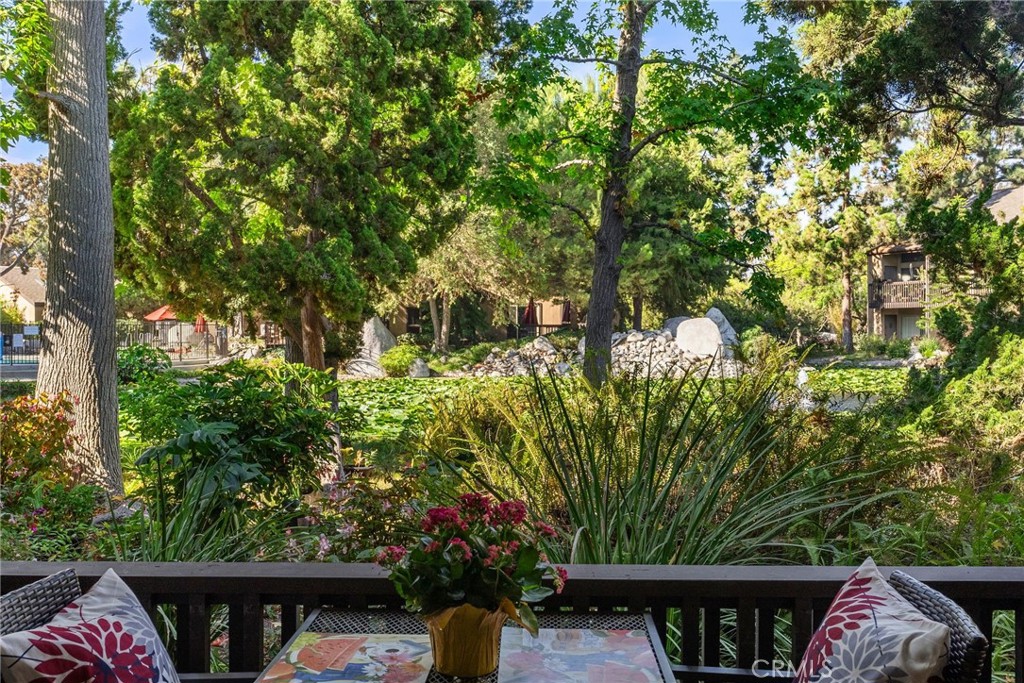 a view of a backyard with plants and large trees