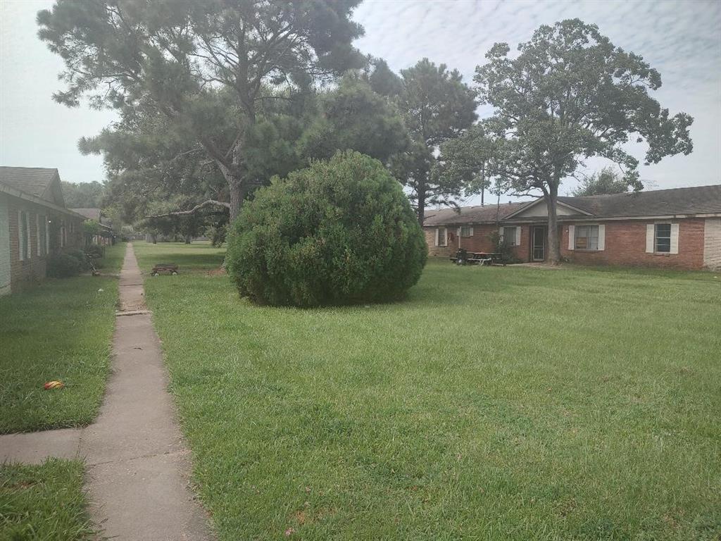 a view of a backyard with plants and large trees