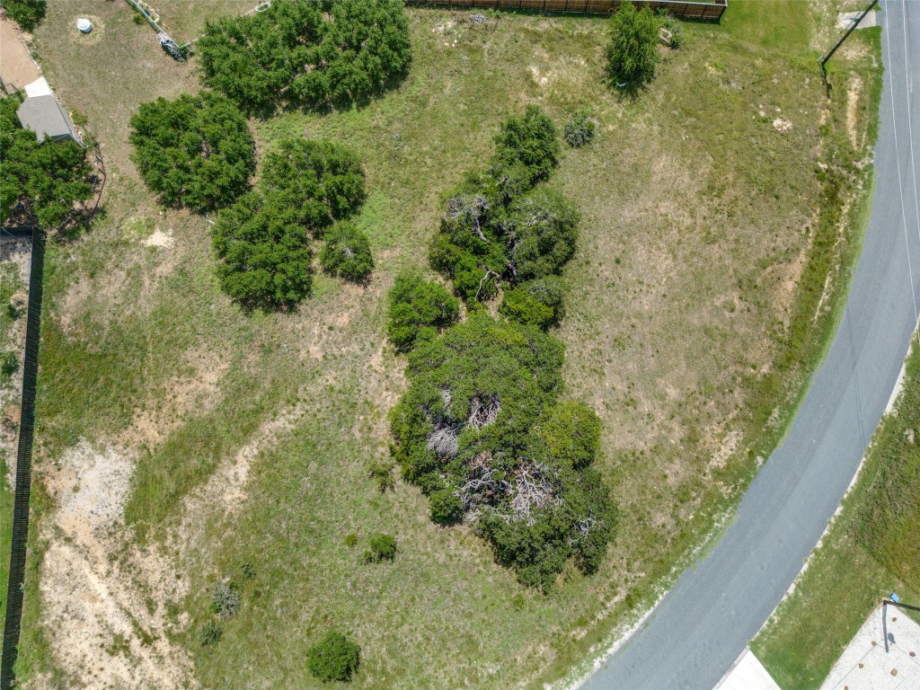 a view of a forest from a balcony