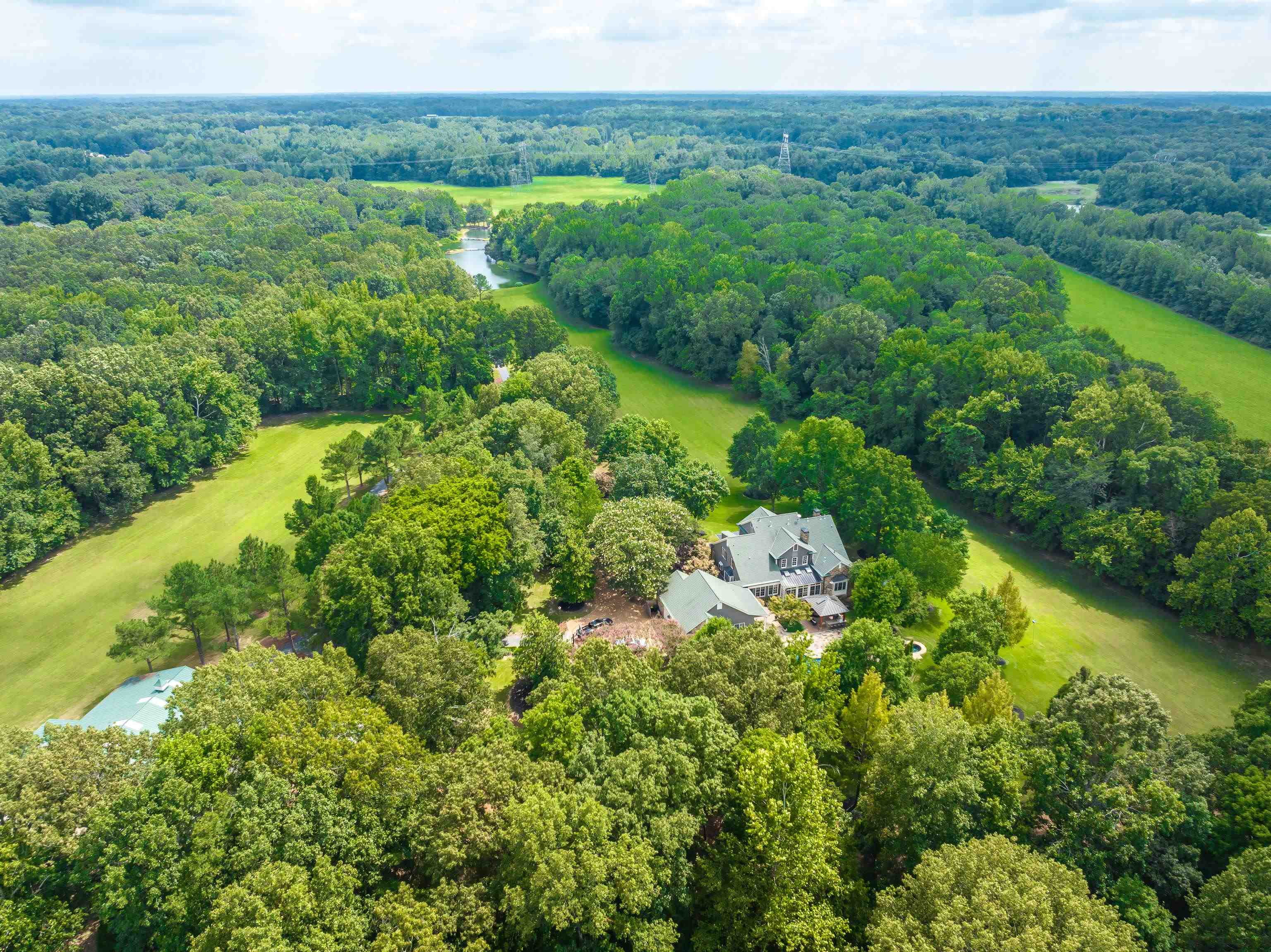 a view of a lush green forest with trees and some houses