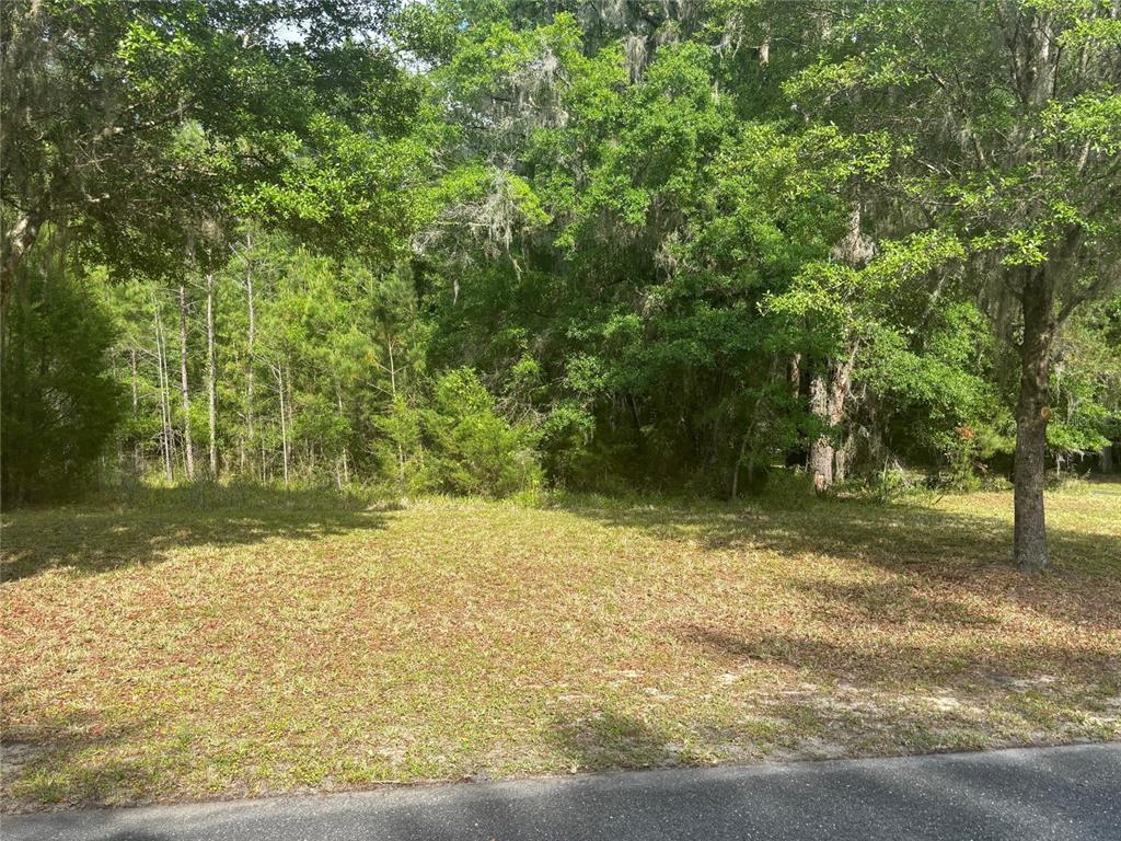 a view of a yard with a tree