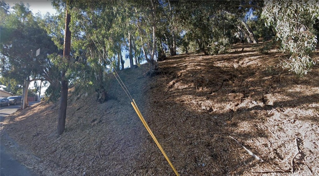 a view of a forest with trees