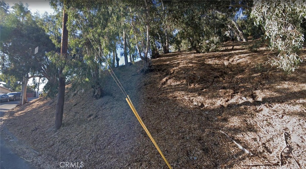 a view of a forest with trees