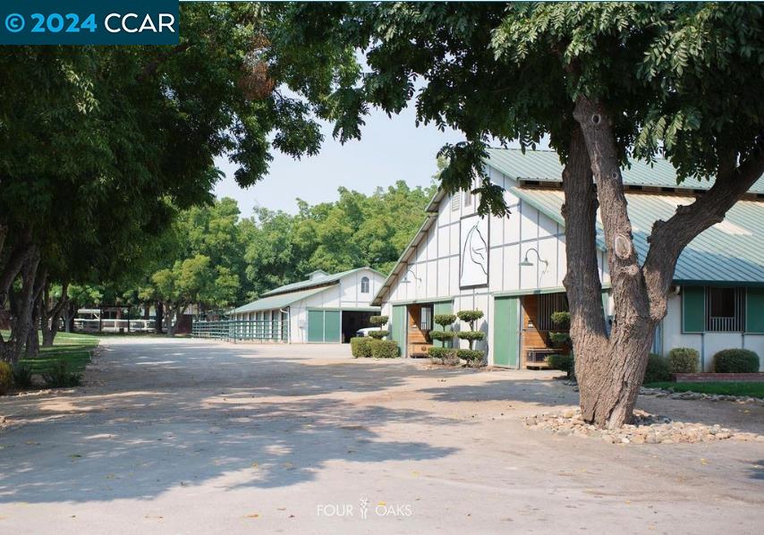 a view of a trees in front of a house