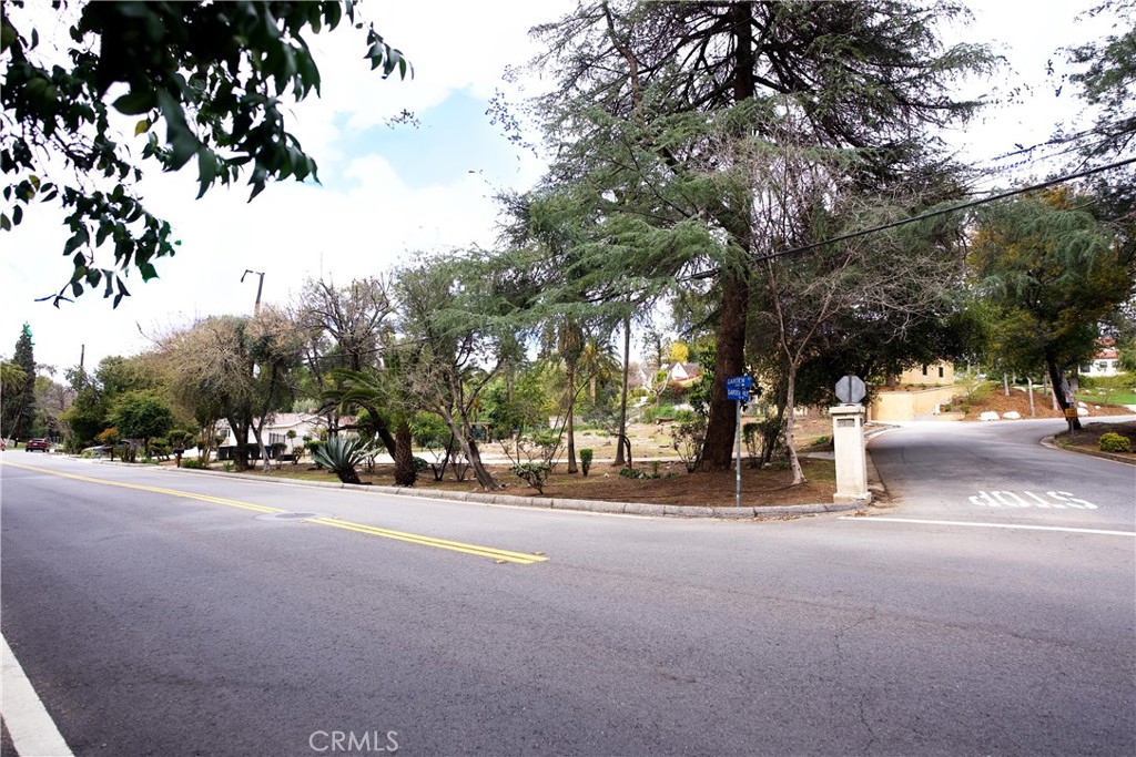 a view of a road with a bench and trees