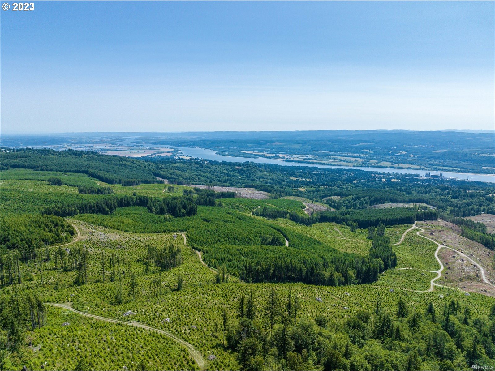 a view of a city with lush green forest