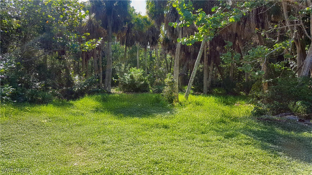 a view of backyard with green space