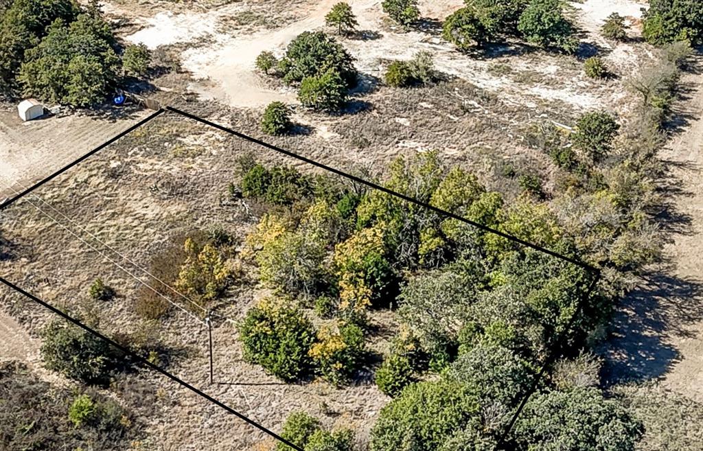 a view of a dry yard with trees