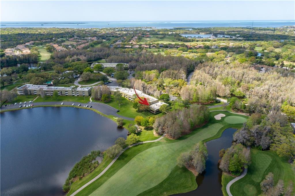 an aerial view of lake and residential houses with outdoor space