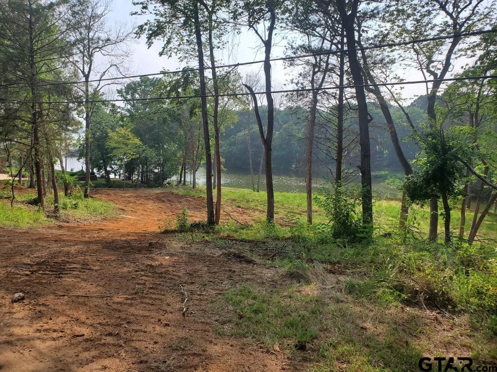 a view of outdoor space with trees