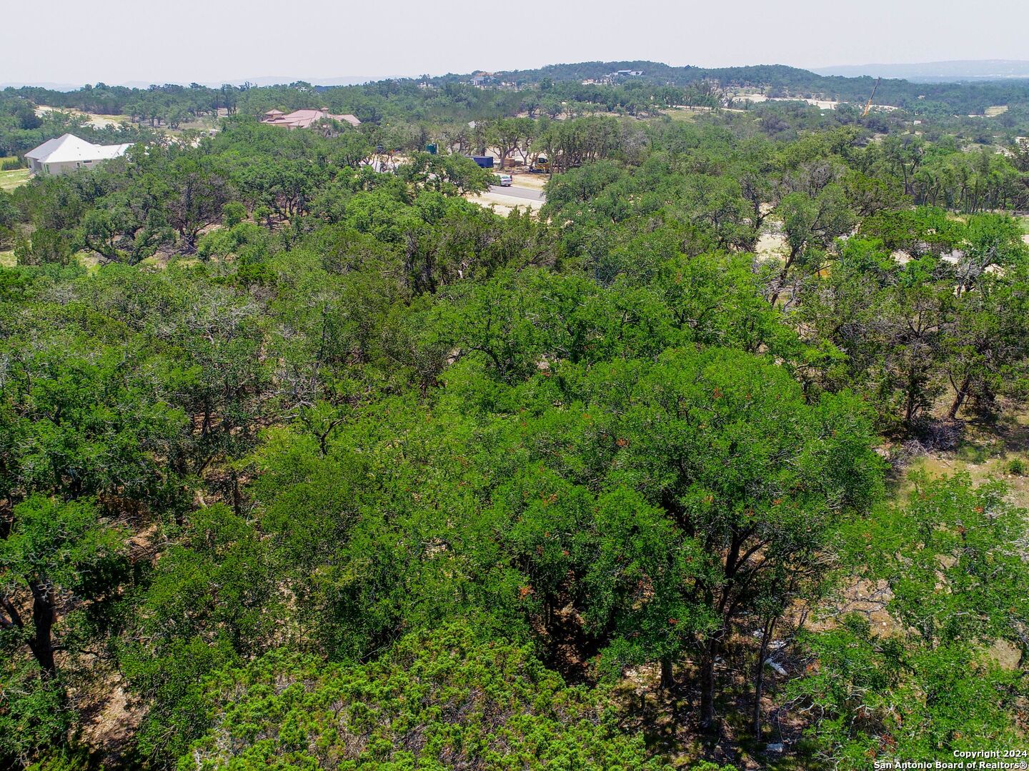 a view of a lush green forest with trees and houses