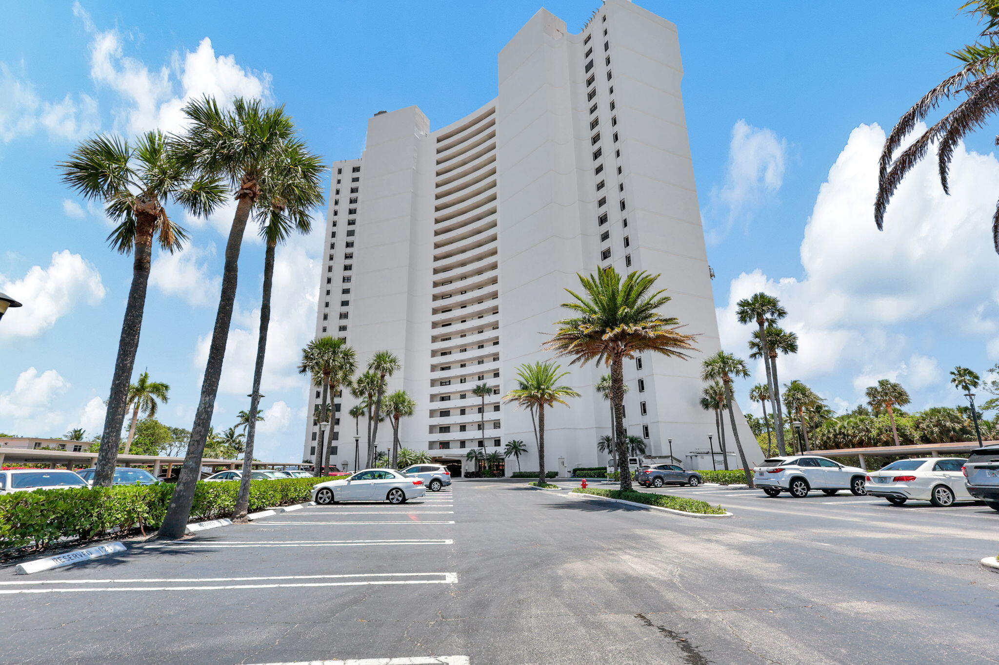 a view of street with palm trees