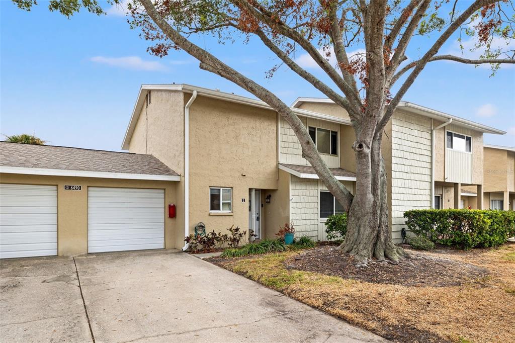 a house that has a tree in front of the house