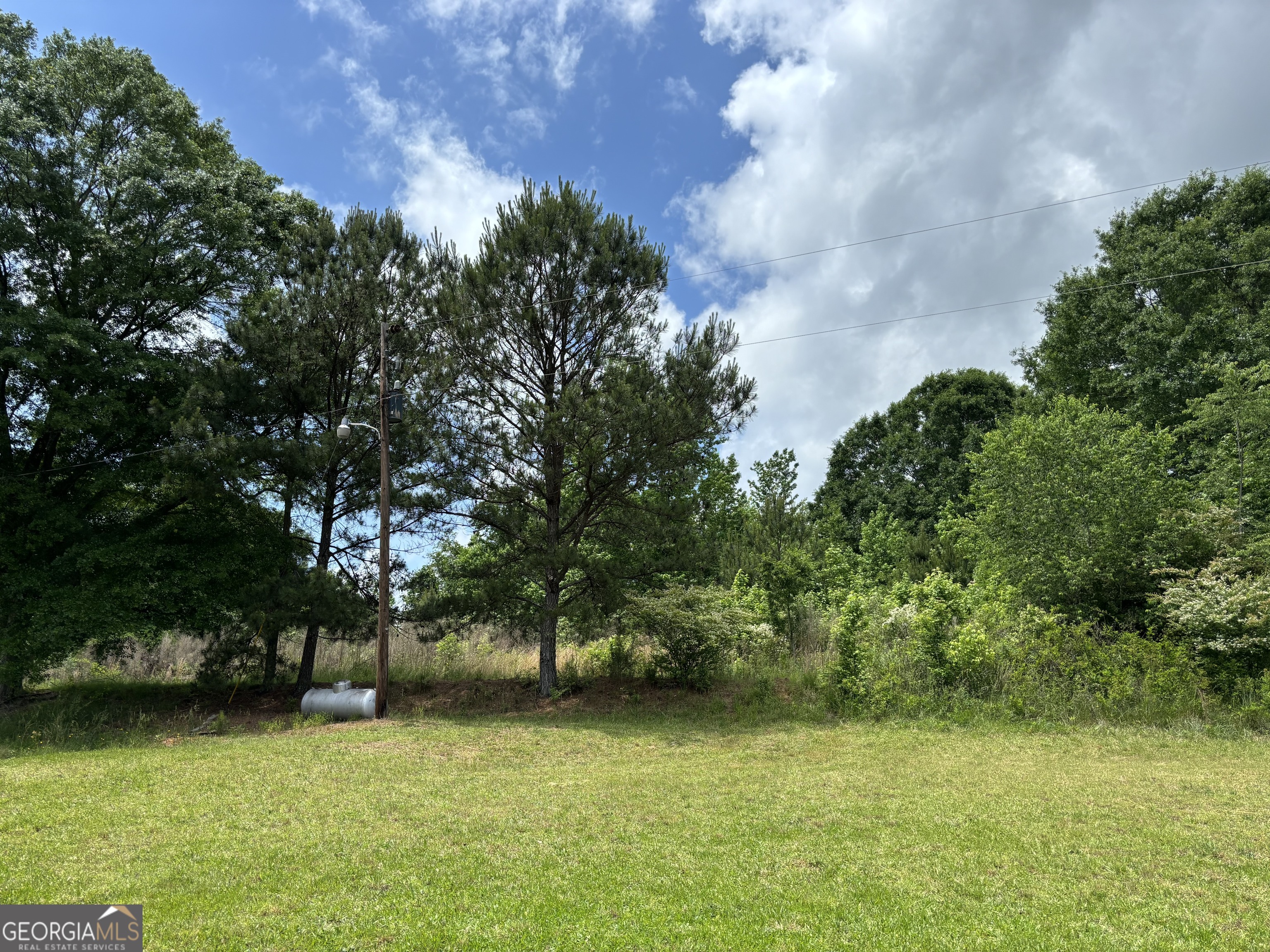 a view of a green yard