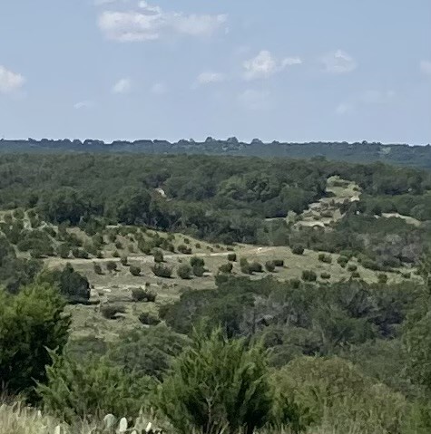 One of the many views of this beautiful land.  Completely encircled by high game fences.  Many building sites to enjoy the views and stands of live oak trees