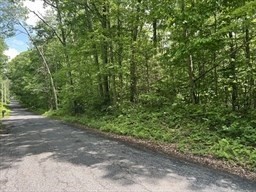 a view of a yard with a tree