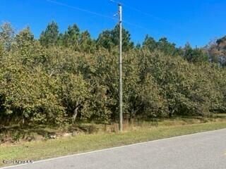 $56,900 | 0 Southwest Malpass Corner Road Northeast | Burgaw Township - Pender County