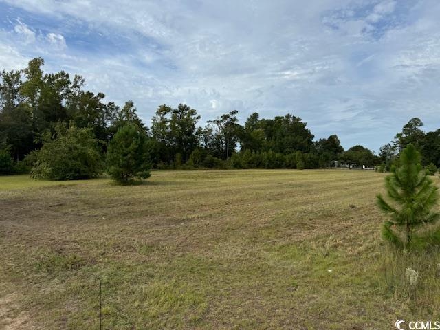 View of landscape featuring a rural view