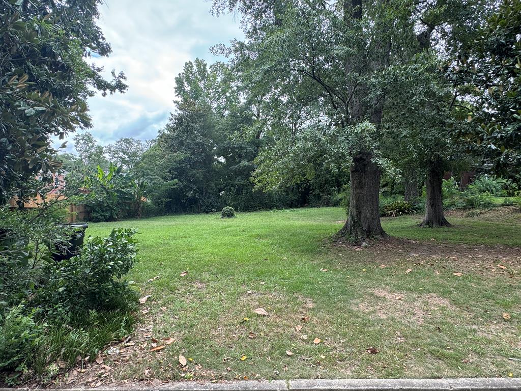 a view of a yard with a tree