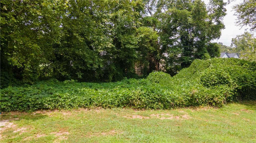 a view of a yard with a tree