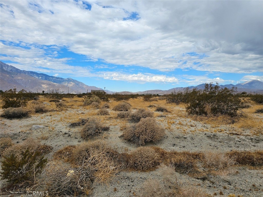 a view of a dry space with lots of trees