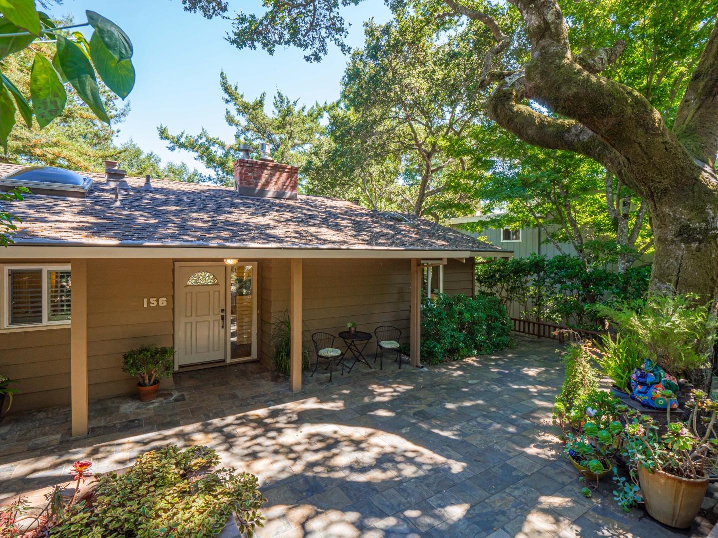 a view of a backyard with plants and a patio