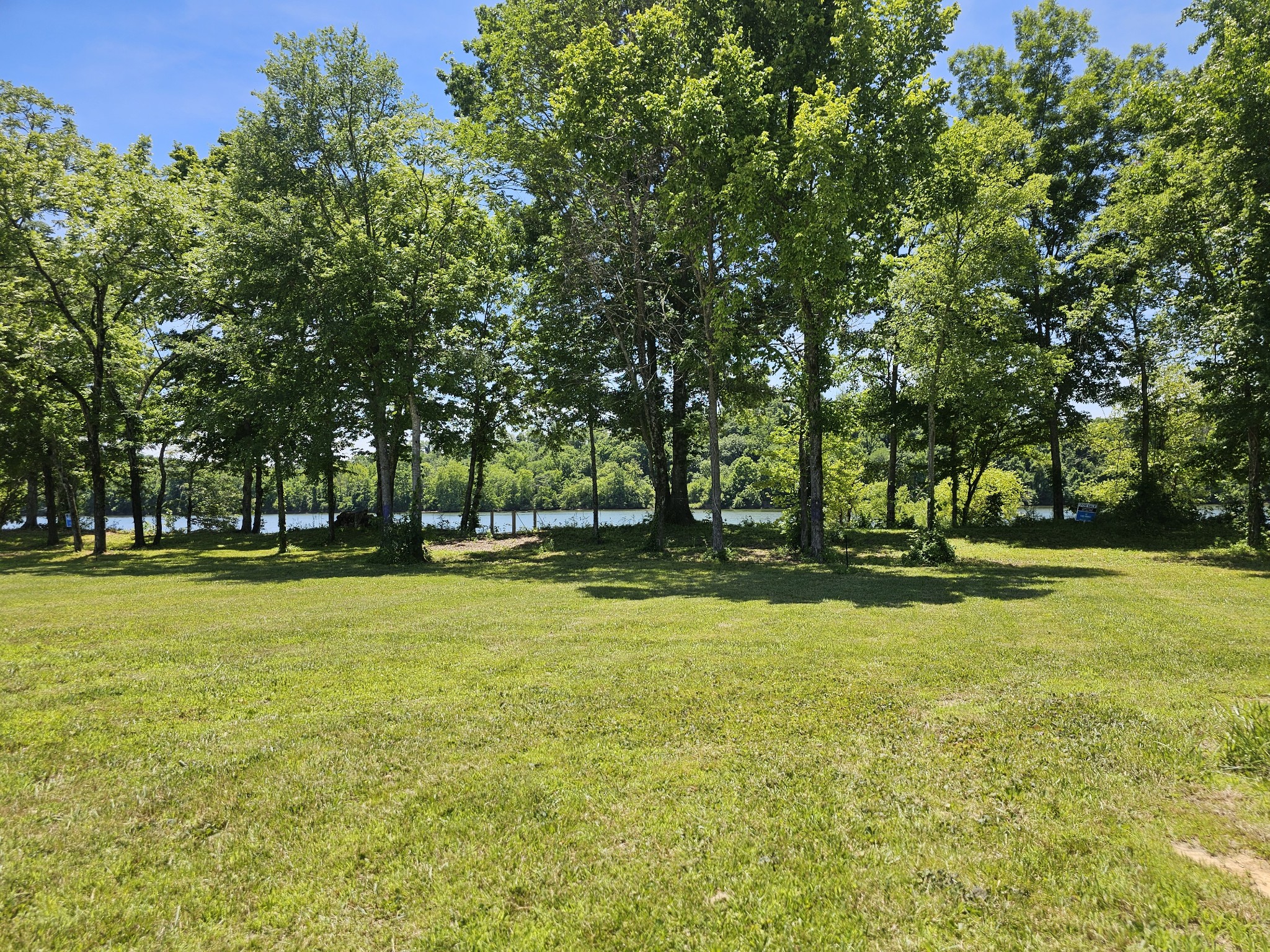 a view of a swimming pool with a yard and trees