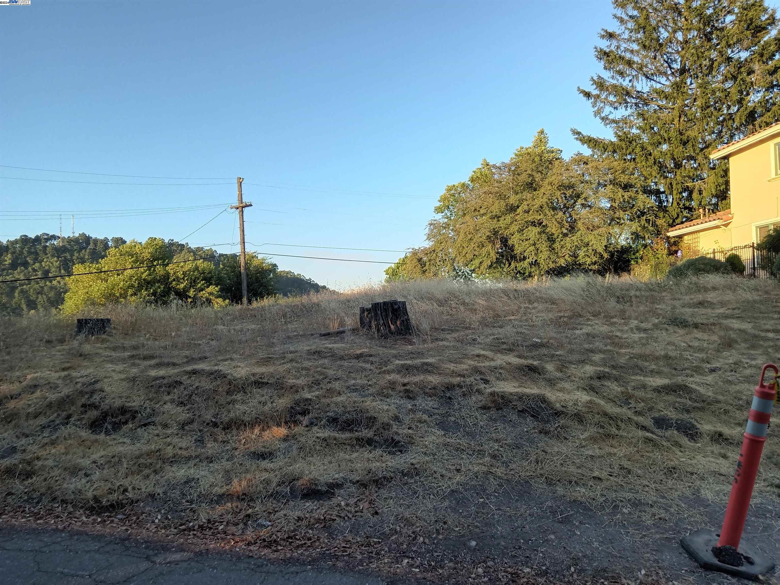 a view of a dry yard with a tree