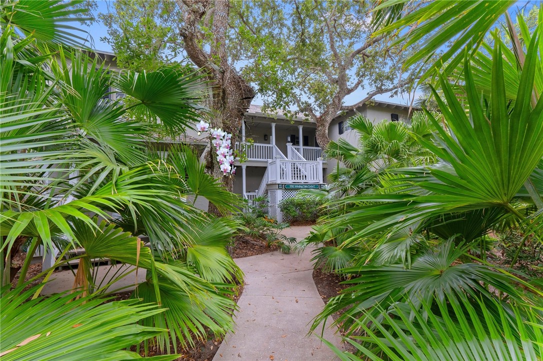 a backyard of a house with lots of palm trees