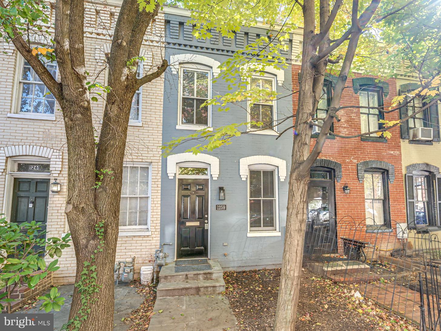 a front view of a house with a tree