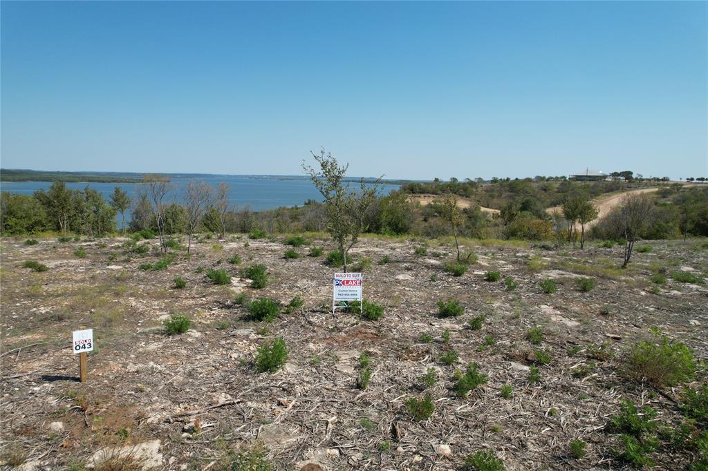 a view of a dry yard with trees