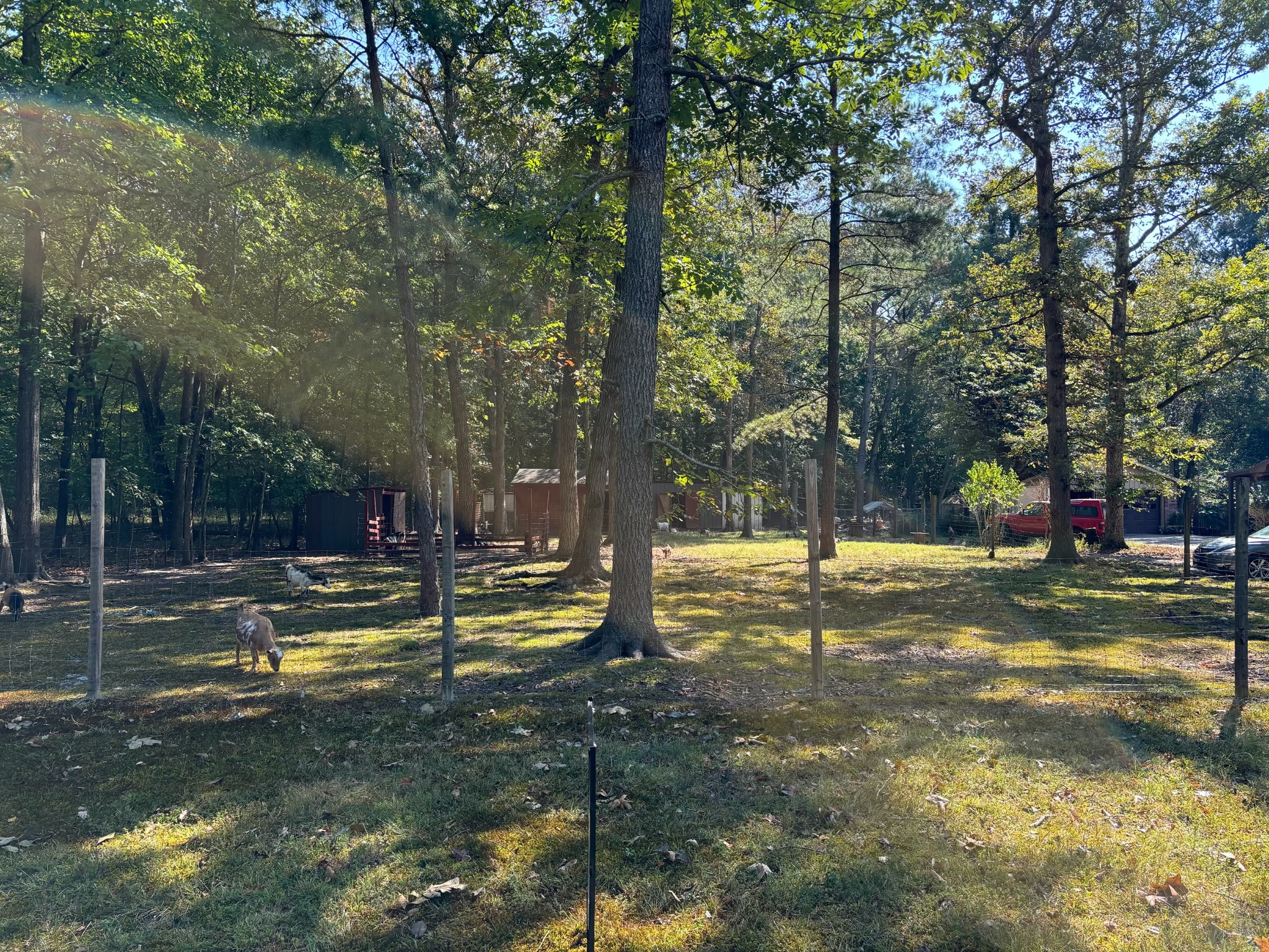 a view of a fountain in the middle of a yard