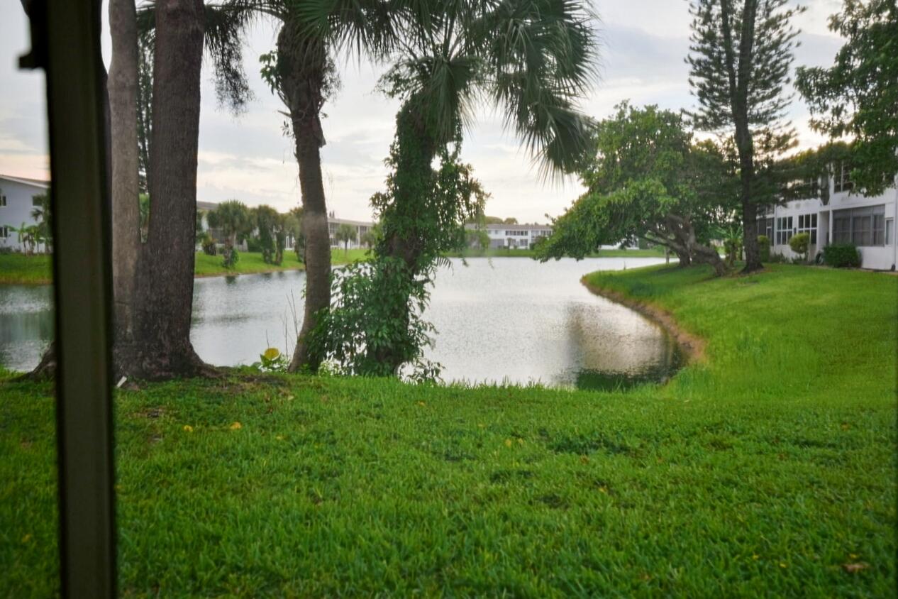 a view of a garden from a lake