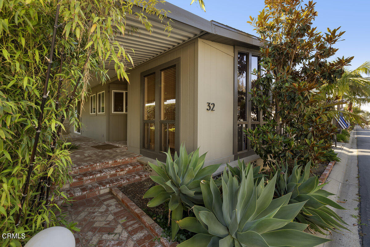 a house that has a plant in front of it