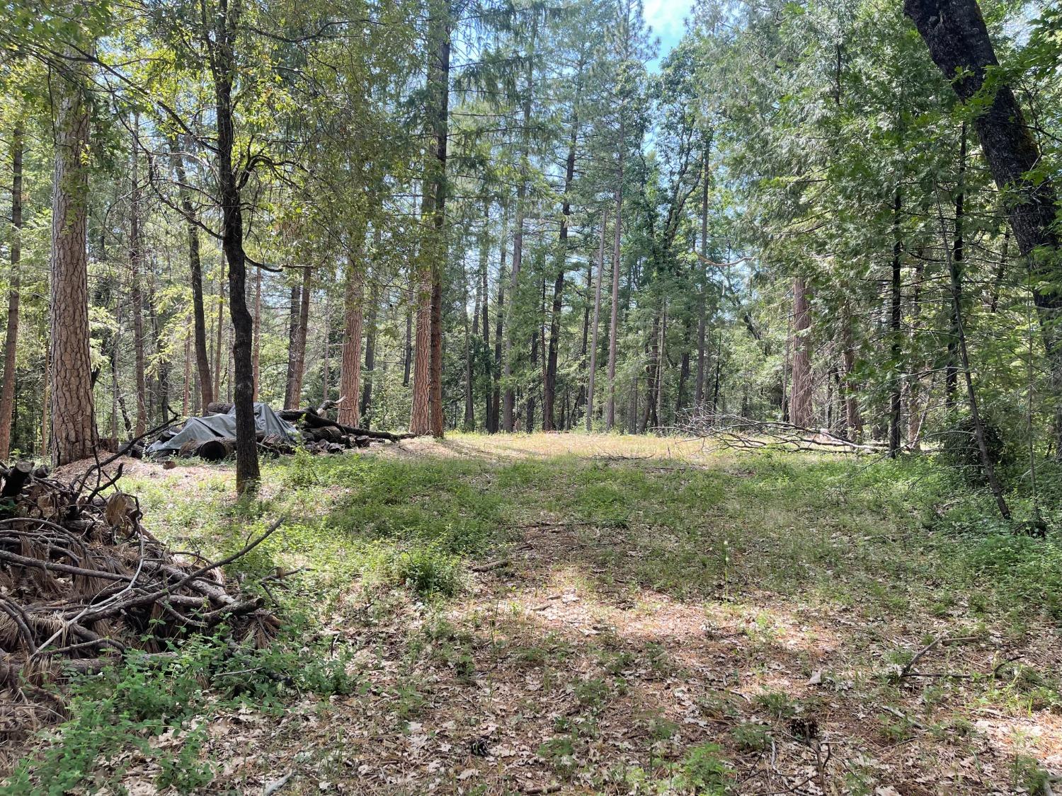 a view of outdoor space with trees