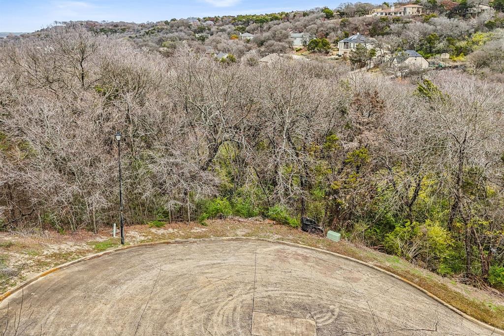 a view of a yard with a tree