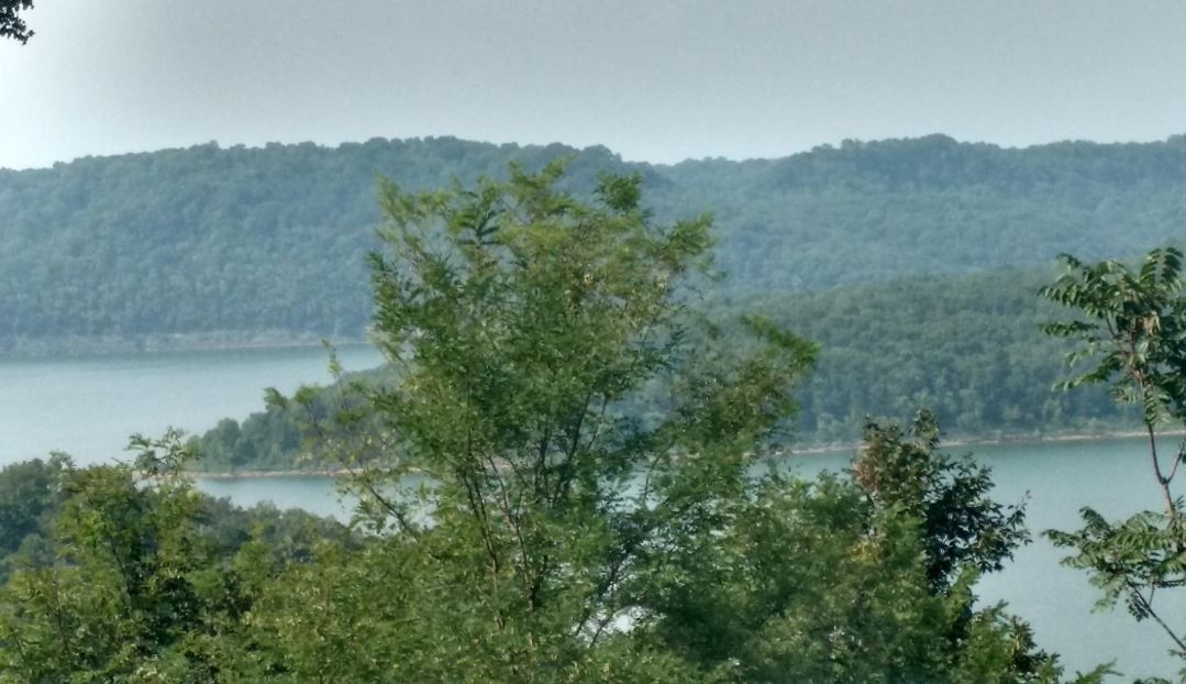 a view of a lake with a mountain in the background