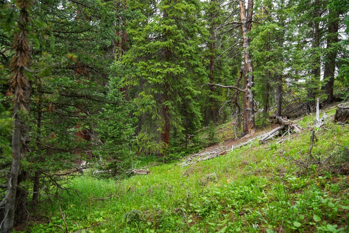 a big yard with lots of green space and deers