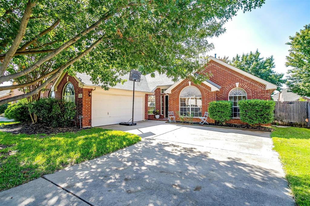 a house with a yard plants and large tree